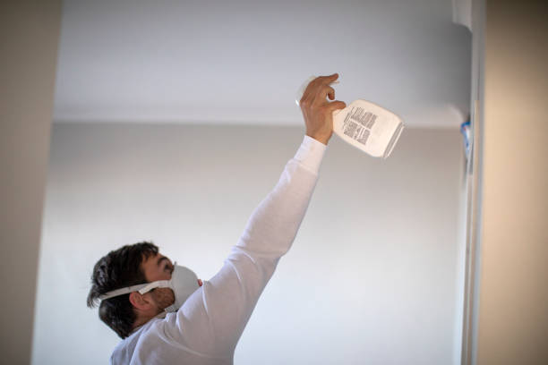 Best Commercial Mold Removal  in Minot, ND