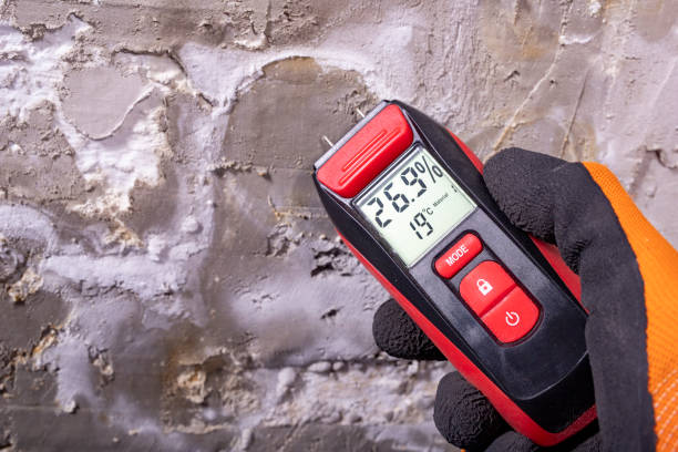 Best Emergency Mold Removal  in Minot, ND