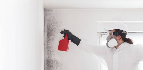 Best Mold Testing  in Minot, ND